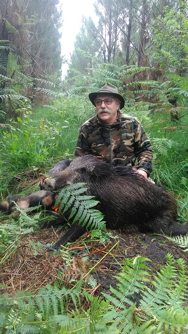 Sanglier de Jacques du 13.06. Fléché à 13 m, atteinte cœur, fuite 60 m.