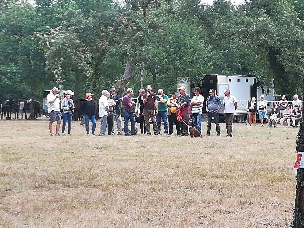 Fête de la chasse de Labrit 2019