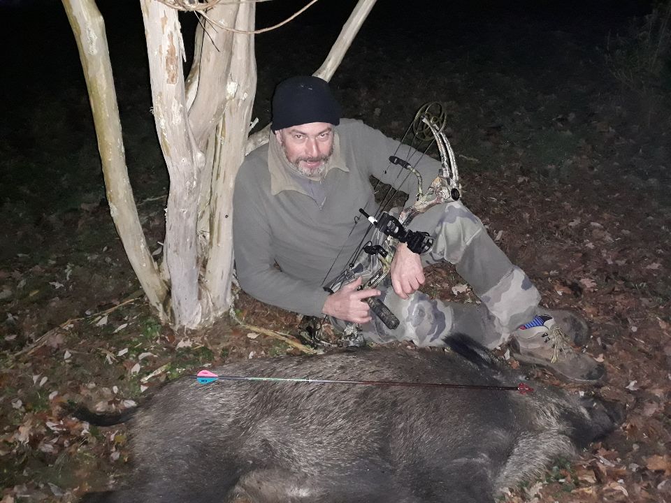 Joli sanglier de Jean-MI. Tir 10 m, fuite 15 m.